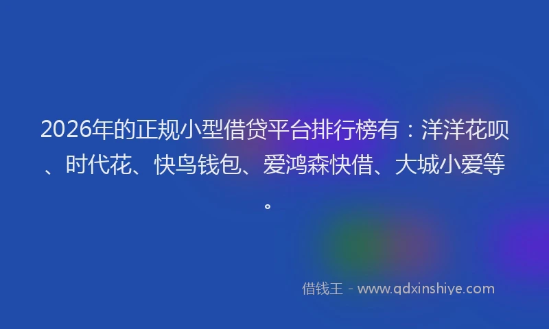 2026年的正规小型借贷平台排行榜有：洋洋花呗、时代花、快鸟钱包、爱鸿森快借、大城小爱等。