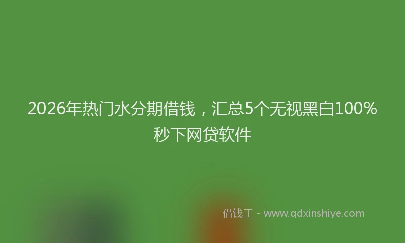 2026年热门水分期借钱,汇总5个无视黑白100%秒下网贷软件