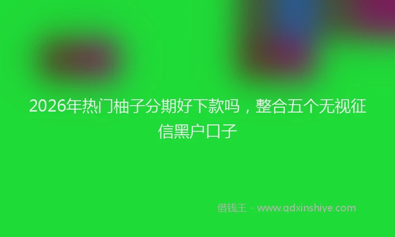 2026年热门柚子分期好下款吗，整合五个无视征信黑户口子