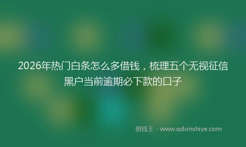 2026年热门白条怎么多借钱，梳理五个无视征信黑户当前逾期必下款的口子