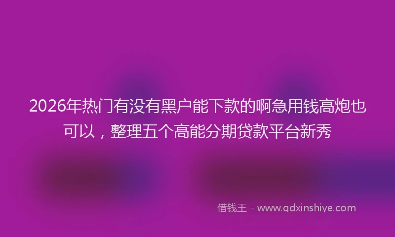 2026年热门有没有黑户能下款的啊急用钱高炮也可以，整理五个高能分期贷款平台新秀