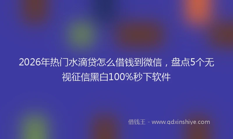 2026年热门水滴贷怎么借钱到微信，盘点5个无视征信黑白100%秒下软件