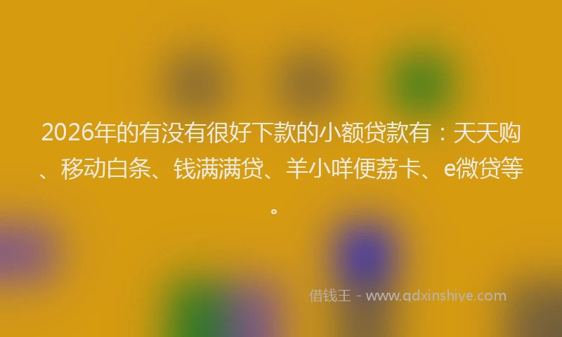 2026年的有没有很好下款的小额贷款有：天天购、移动白条、钱满满贷、羊小咩便荔卡、e微贷等。