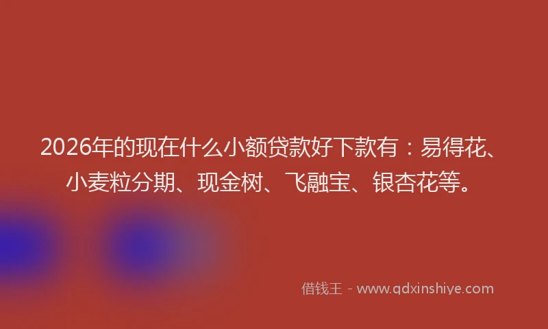 2026年的现在什么小额贷款好下款有：易得花、小麦粒分期、现金树、飞融宝、银杏花等。
