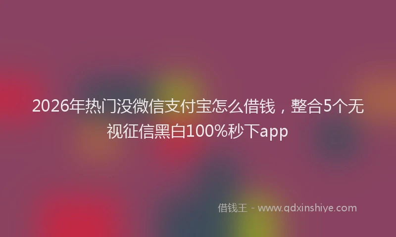 2026年热门没微信支付宝怎么借钱，整合5个无视征信黑白100%秒下app