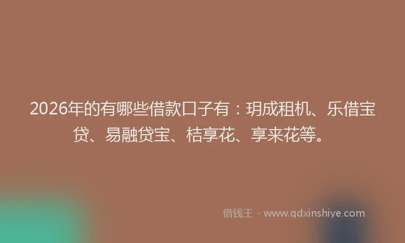 2026年的有哪些借款口子有：玥成租机、乐借宝贷、易融贷宝、桔享花、享来花等。