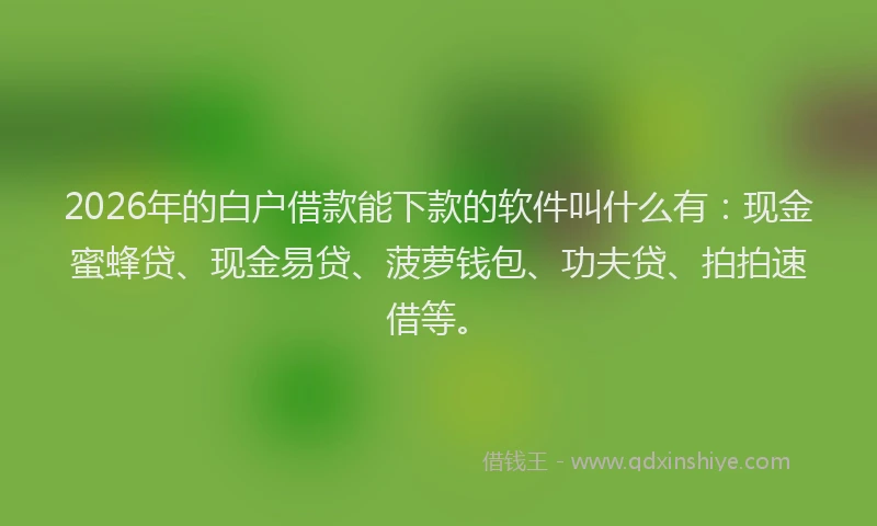 2026年的白户借款能下款的软件叫什么有:现金蜜蜂贷、现金易贷、菠萝钱包、功夫贷、拍拍速借等。
