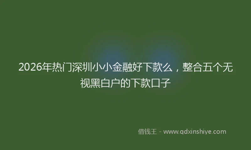 2026年热门深圳小小金融好下款么，整合五个无视黑白户的下款口子
