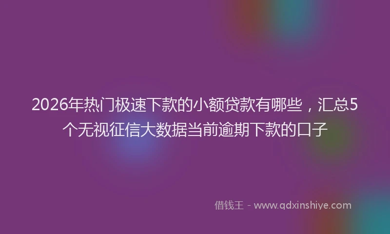 2026年热门极速下款的小额贷款有哪些，汇总5个无视征信大数据当前逾期下款的口子