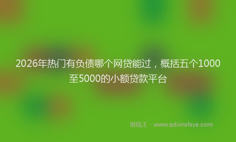 2026年热门有负债哪个网贷能过，概括五个1000至5000的小额贷款平台