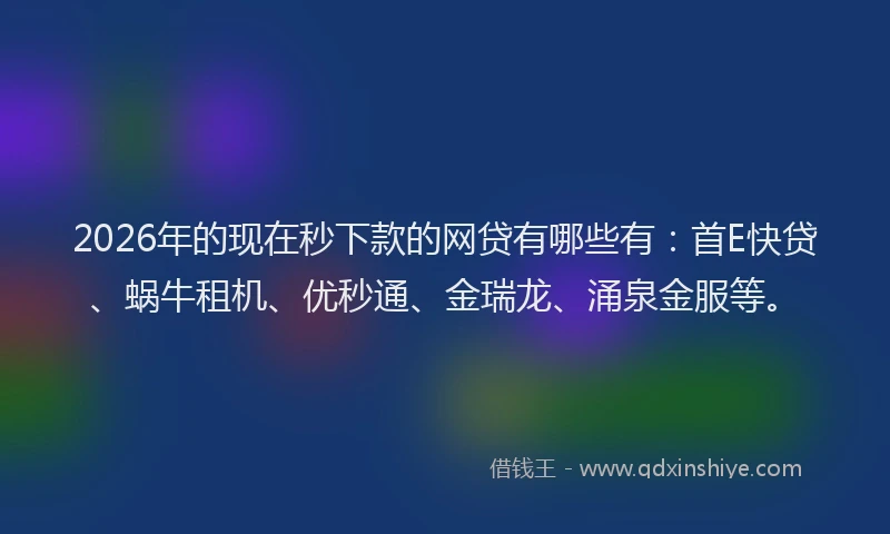 2026年的现在秒下款的网贷有哪些有：首E快贷、蜗牛租机、优秒通、金瑞龙、涌泉金服等。