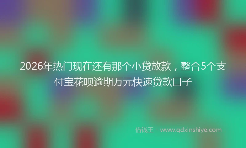 2026年热门现在还有那个小贷放款,整合5个支付宝花呗逾期万元快速贷款口子