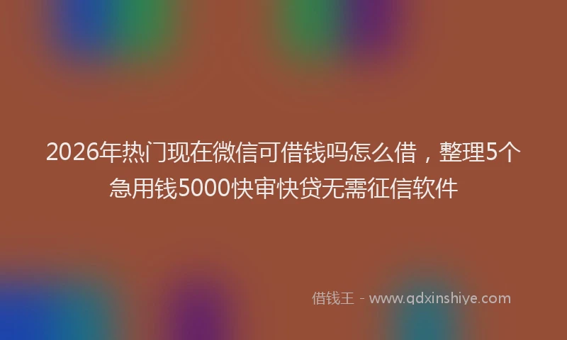 2026年热门现在微信可借钱吗怎么借，整理5个急用钱5000快审快贷无需征信软件