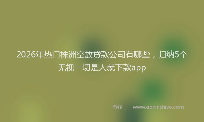 2026年热门株洲空放贷款公司有哪些，归纳5个无视一切是人就下款app