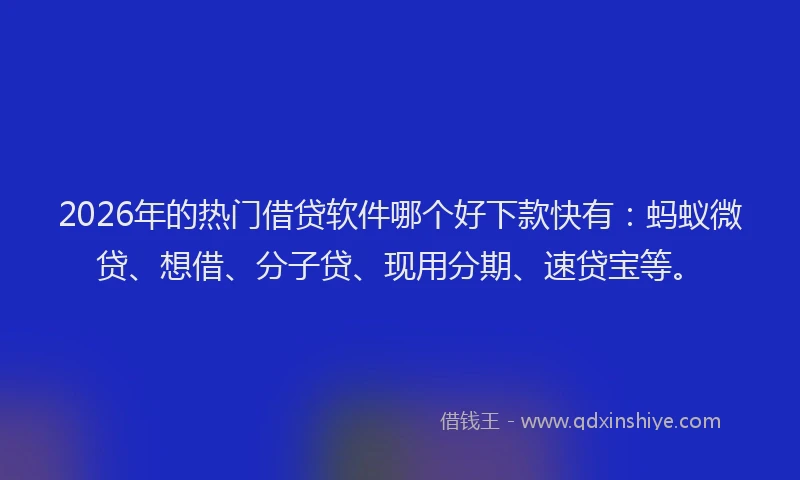 2026年的热门借贷软件哪个好下款快有：蚂蚁微贷、想借、分子贷、现用分期、速贷宝等。
