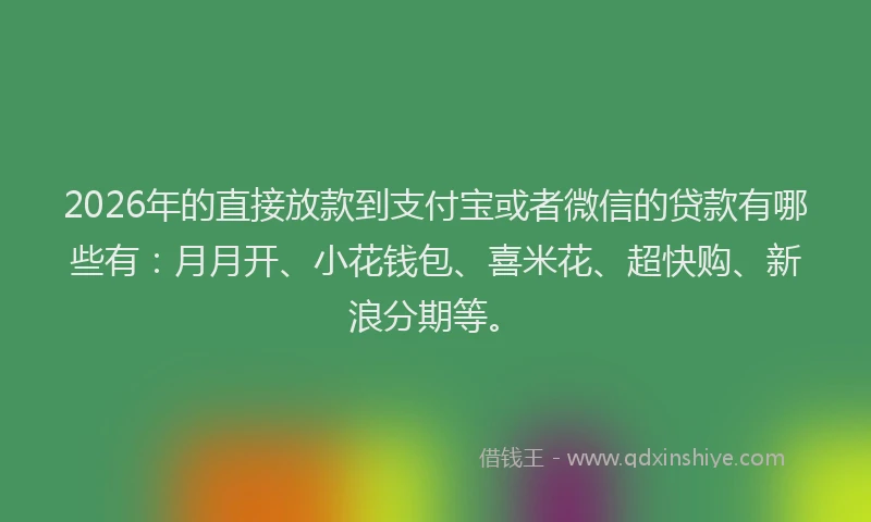 2026年的直接放款到支付宝或者微信的贷款有哪些有：月月开、小花钱包、喜米花、超快购、新浪分期等。