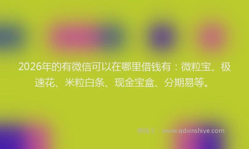 2026年的有微信可以在哪里借钱有：微粒宝、极速花、米粒白条、现金宝盒、分期易等。