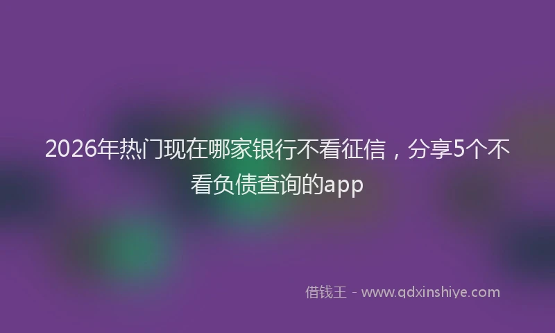 2026年热门现在哪家银行不看征信，分享5个不看负债查询的app