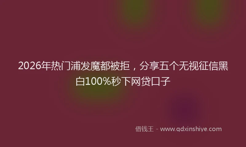 2026年热门浦发魔都被拒,分享五个无视征信黑白100%秒下网贷口子