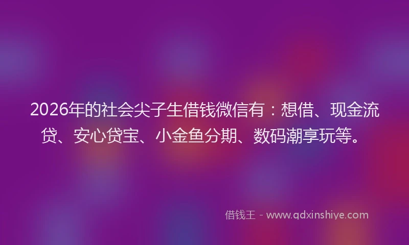 2026年的社会尖子生借钱微信有:想借、现金流贷、安心贷宝、小金鱼分期、数码潮享玩等。