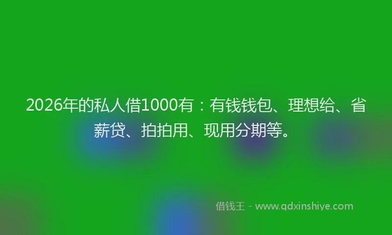 2026年的私人借1000有：有钱钱包、理想给、省薪贷、拍拍用、现用分期等。