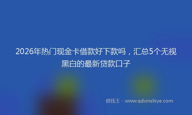 2026年热门现金卡借款好下款吗，汇总5个无视黑白的最新贷款口子