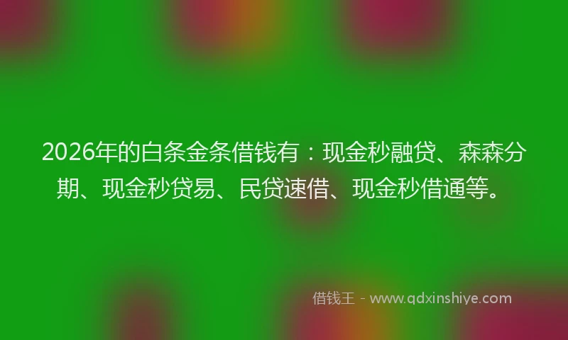 2026年的白条金条借钱有：现金秒融贷、森森分期、现金秒贷易、民贷速借、现金秒借通等。