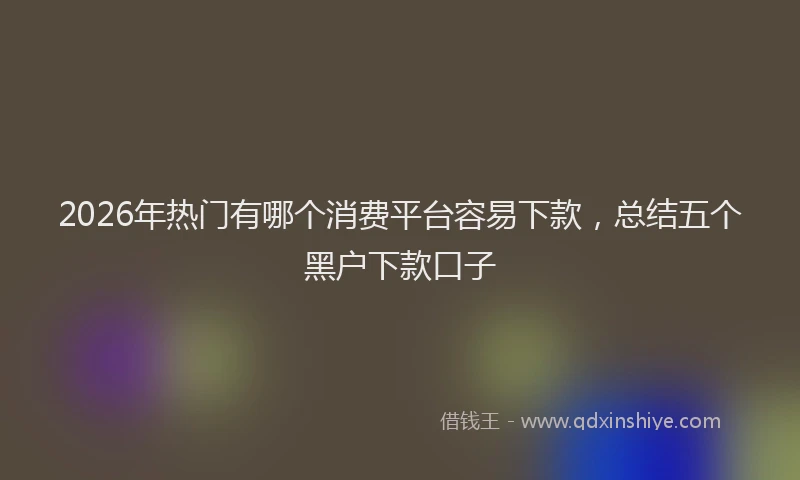 2026年热门有哪个消费平台容易下款，总结五个黑户下款口子