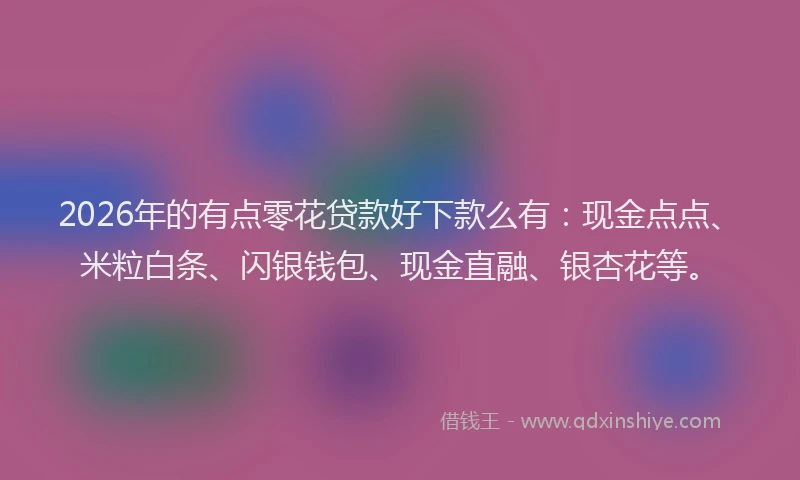 2026年的有点零花贷款好下款么有：现金点点、米粒白条、闪银钱包、现金直融、银杏花等。