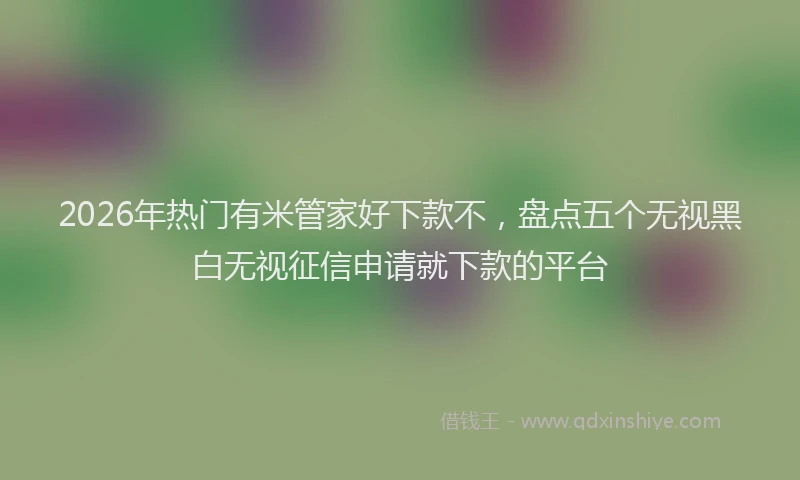 2026年热门有米管家好下款不，盘点五个无视黑白无视征信申请就下款的平台