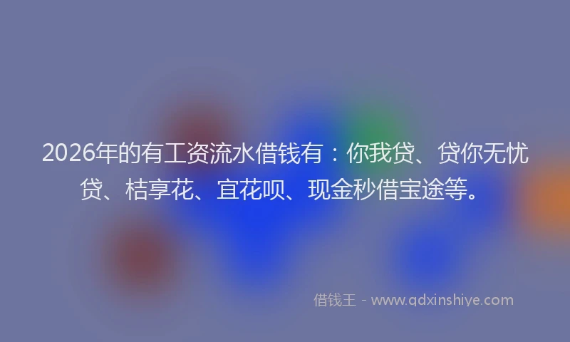 2026年的有工资流水借钱有：你我贷、贷你无忧贷、桔享花、宜花呗、现金秒借宝途等。