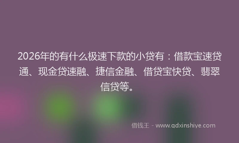 2026年的有什么极速下款的小贷有：借款宝速贷通、现金贷速融、捷信金融、借贷宝快贷、翡翠信贷等。