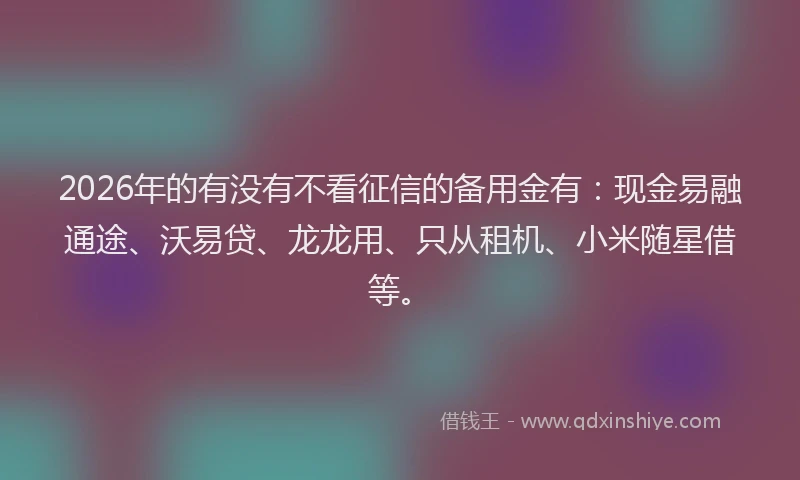 2026年的有没有不看征信的备用金有：现金易融通途、沃易贷、龙龙用、只从租机、小米随星借等。