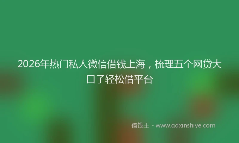 2026年热门私人微信借钱上海，梳理五个网贷大口子轻松借平台