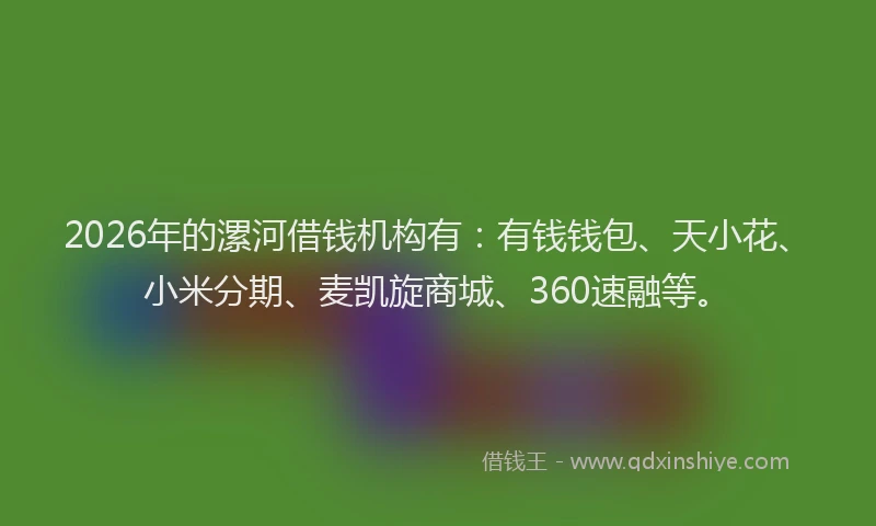 2026年的漯河借钱机构有：有钱钱包、天小花、小米分期、麦凯旋商城、360速融等。