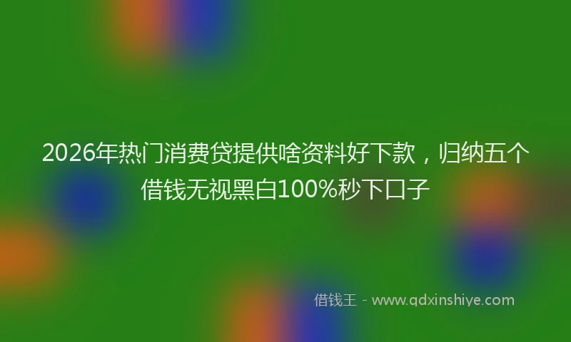 2026年热门消费贷提供啥资料好下款，归纳五个借钱无视黑白100%秒下口子