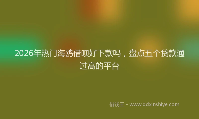 2026年热门海鸥借呗好下款吗，盘点五个贷款通过高的平台