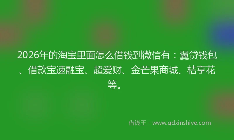 2026年的淘宝里面怎么借钱到微信有:翼贷钱包、借款宝速融宝、超爱财、金芒果商城、桔享花等。