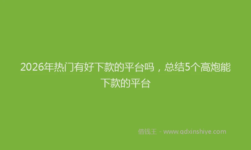 2026年热门有好下款的平台吗，总结5个高炮能下款的平台