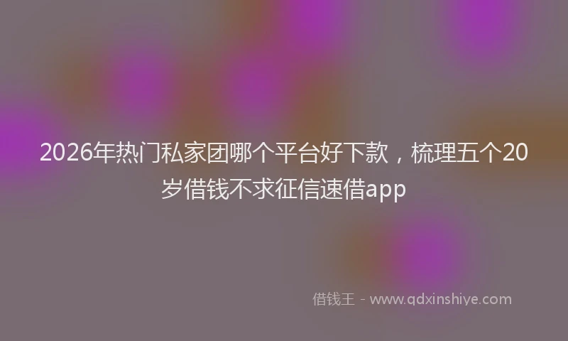 2026年热门私家团哪个平台好下款，梳理五个20岁借钱不求征信速借app