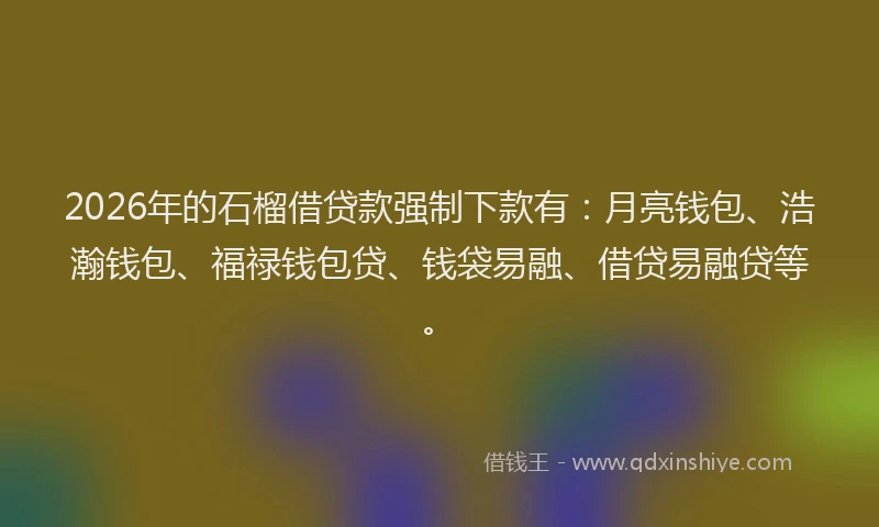 2026年的石榴借贷款强制下款有:月亮钱包、浩瀚钱包、福禄钱包贷、钱袋易融、借贷易融贷等。