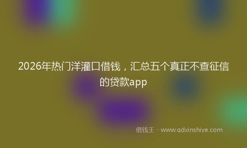 2026年热门洋灌口借钱，汇总五个真正不查征信的贷款app