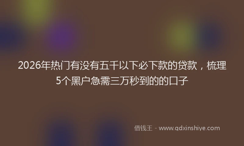2026年热门有没有五千以下必下款的贷款，梳理5个黑户急需三万秒到的的口子