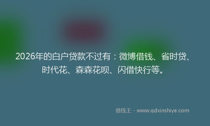 2026年的白户贷款不过有：微博借钱、省时贷、时代花、森森花呗、闪借快行等。
