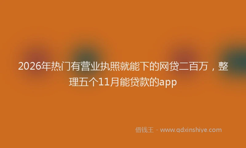 2026年热门有营业执照就能下的网贷二百万，整理五个11月能贷款的app