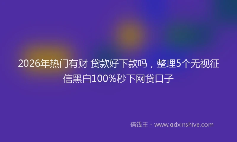 2026年热门有财 贷款好下款吗,整理5个无视征信黑白100%秒下网贷口子