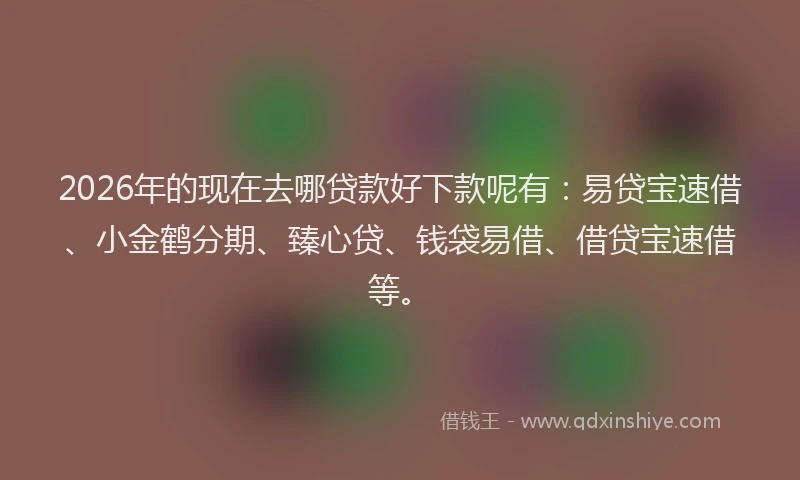2026年的现在去哪贷款好下款呢有：易贷宝速借、小金鹤分期、臻心贷、钱袋易借、借贷宝速借等。