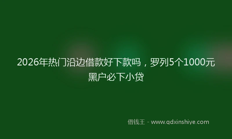 2026年热门沿边借款好下款吗，罗列5个1000元黑户必下小贷