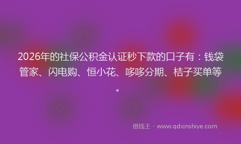 2026年的社保公积金认证秒下款的口子有:钱袋管家、闪电购、恒小花、哆哆分期、桔子买单等。