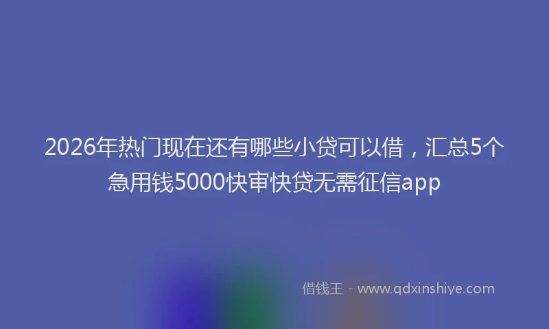 2026年热门现在还有哪些小贷可以借，汇总5个急用钱5000快审快贷无需征信app